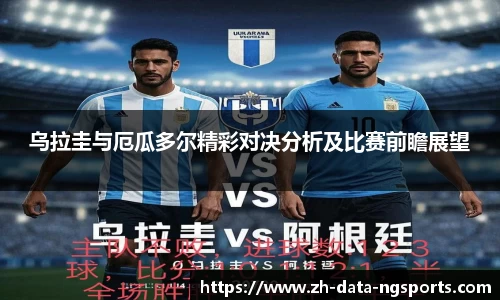 NG体育官网