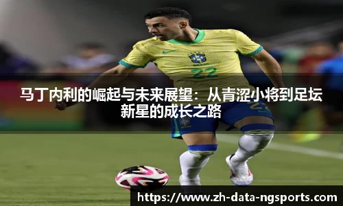 NG体育官网