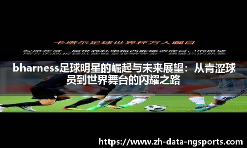 ng体育