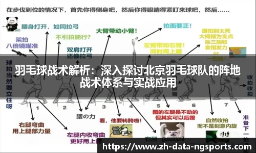 NG体育官网