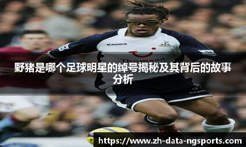 NG体育官网